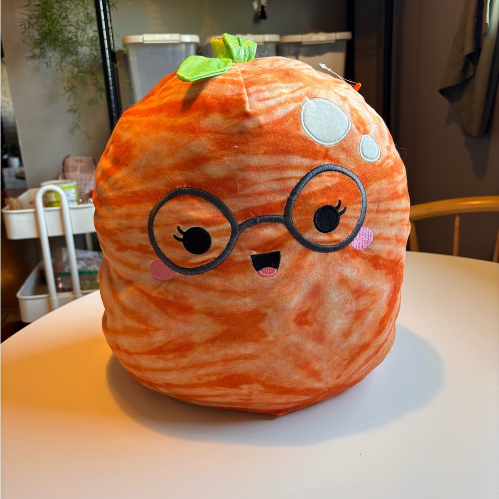 RARE Judy Tangerine squishmallow